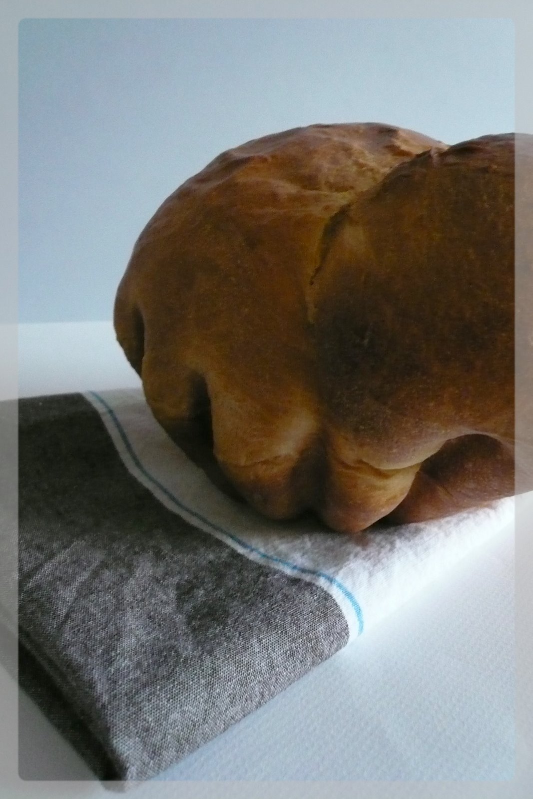 [Décembre+2007+063.jpg]