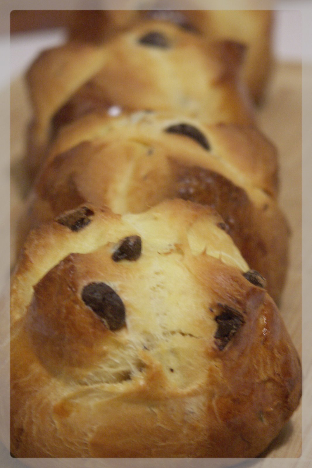 [Janvier+2008+069.jpg]