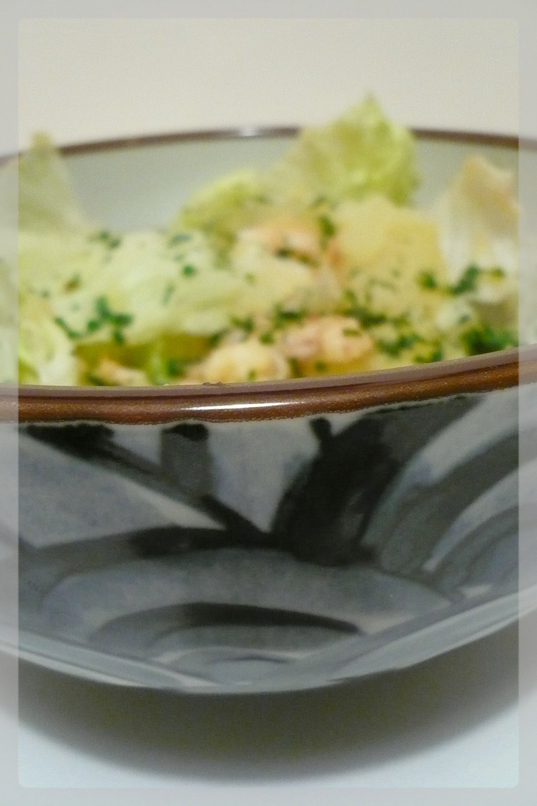 [Décembre+2007+053.jpg]