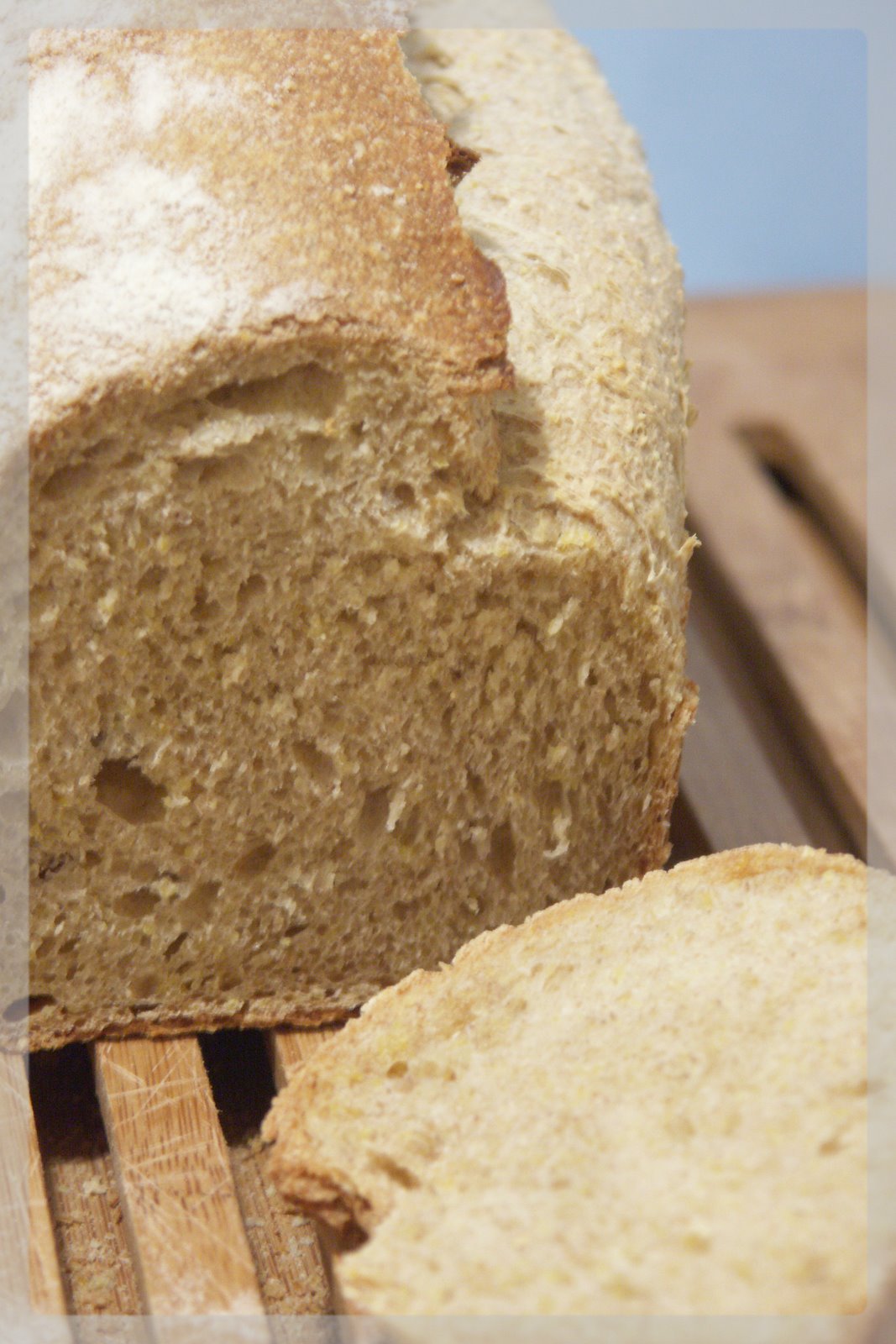 [Janvier+2008+061.jpg]