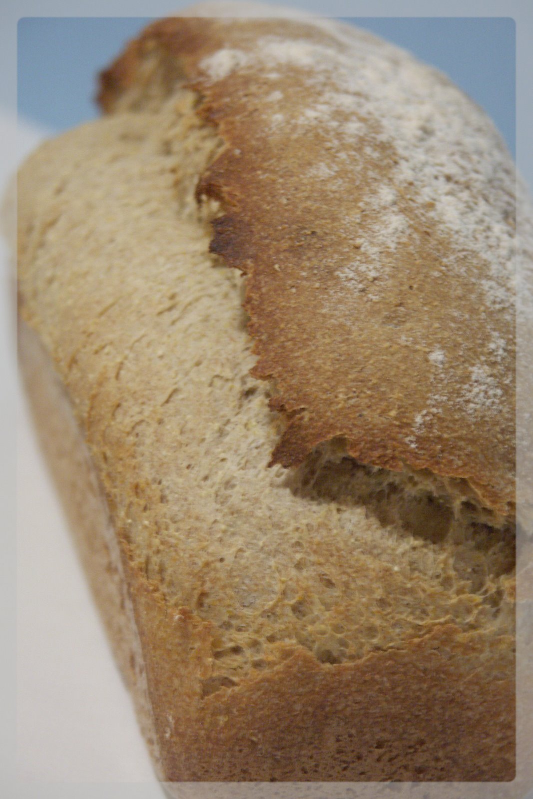 [Janvier+2008+045.jpg]