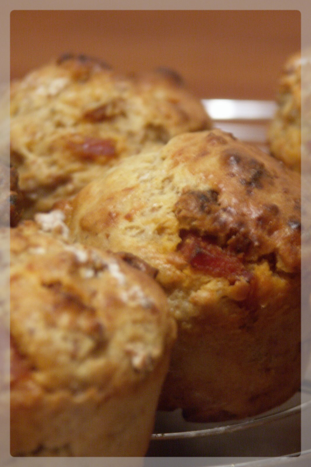 [Janvier+2008+212.jpg]