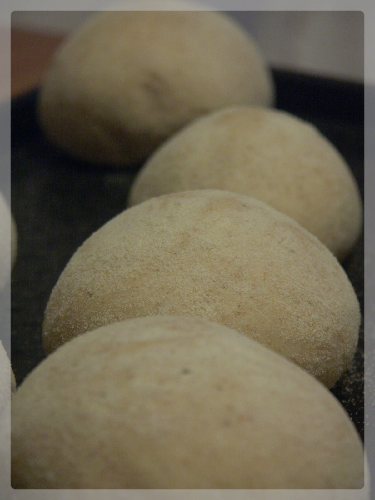 [Janvier+2008+425.jpg]