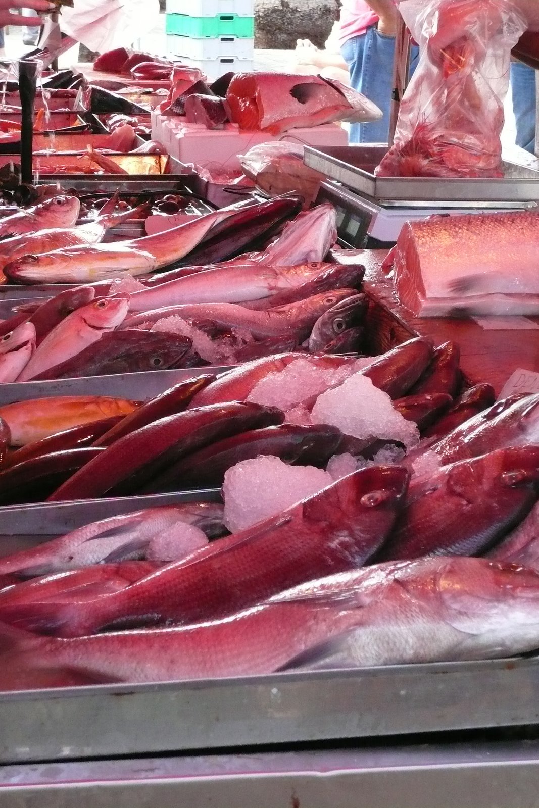 [Malte+Octobre+2007+199.jpg]