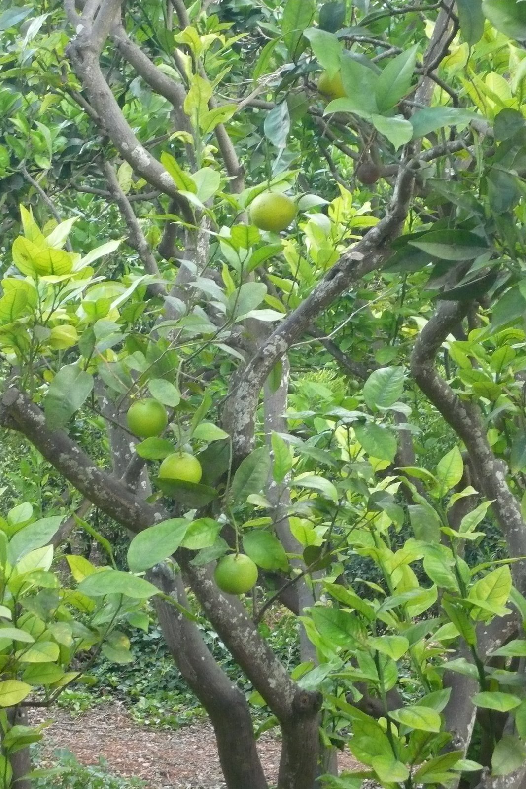 [Malte+Octobre+2007+038.jpg]