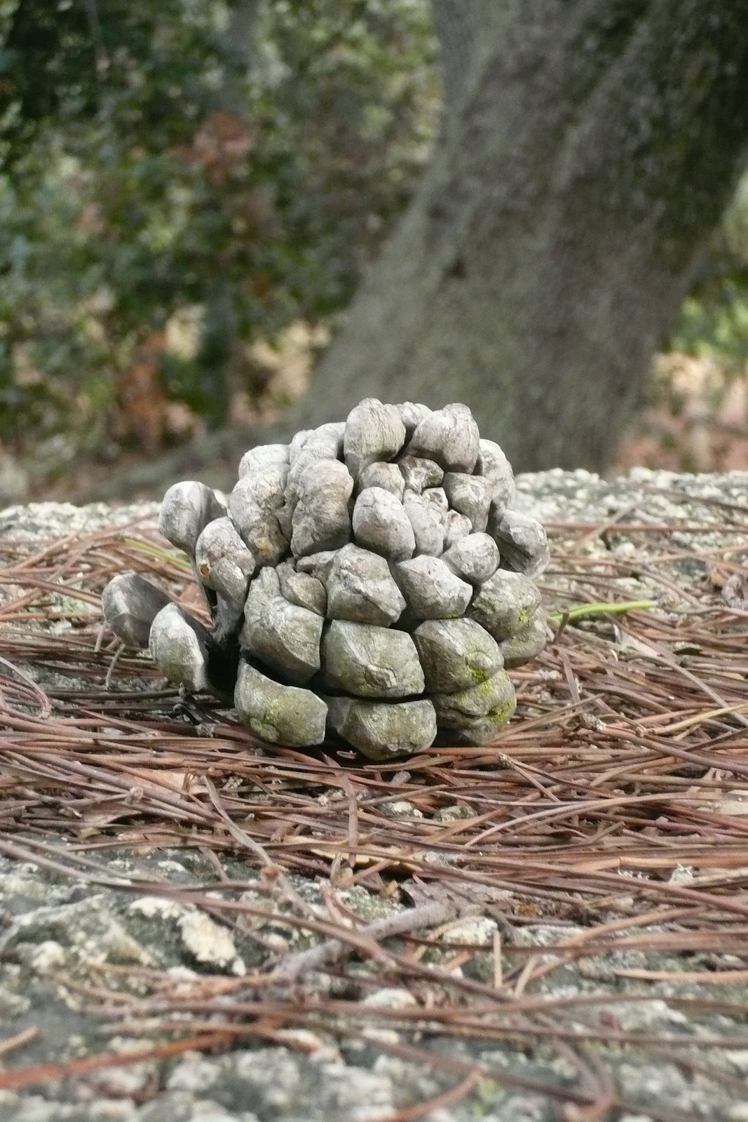 [Malte+Octobre+2007+033.jpg]