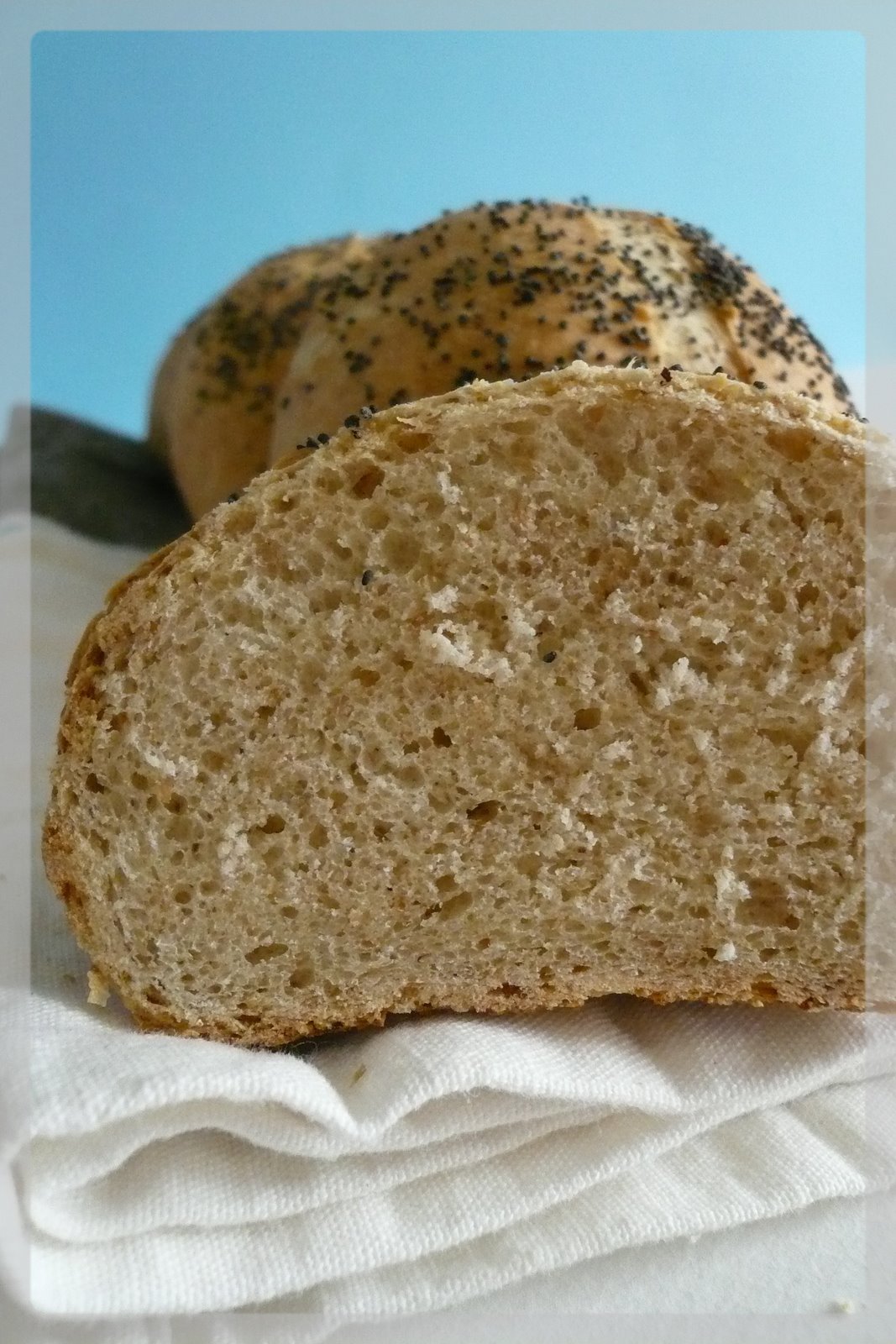 [Octobre+2007+126.jpg]