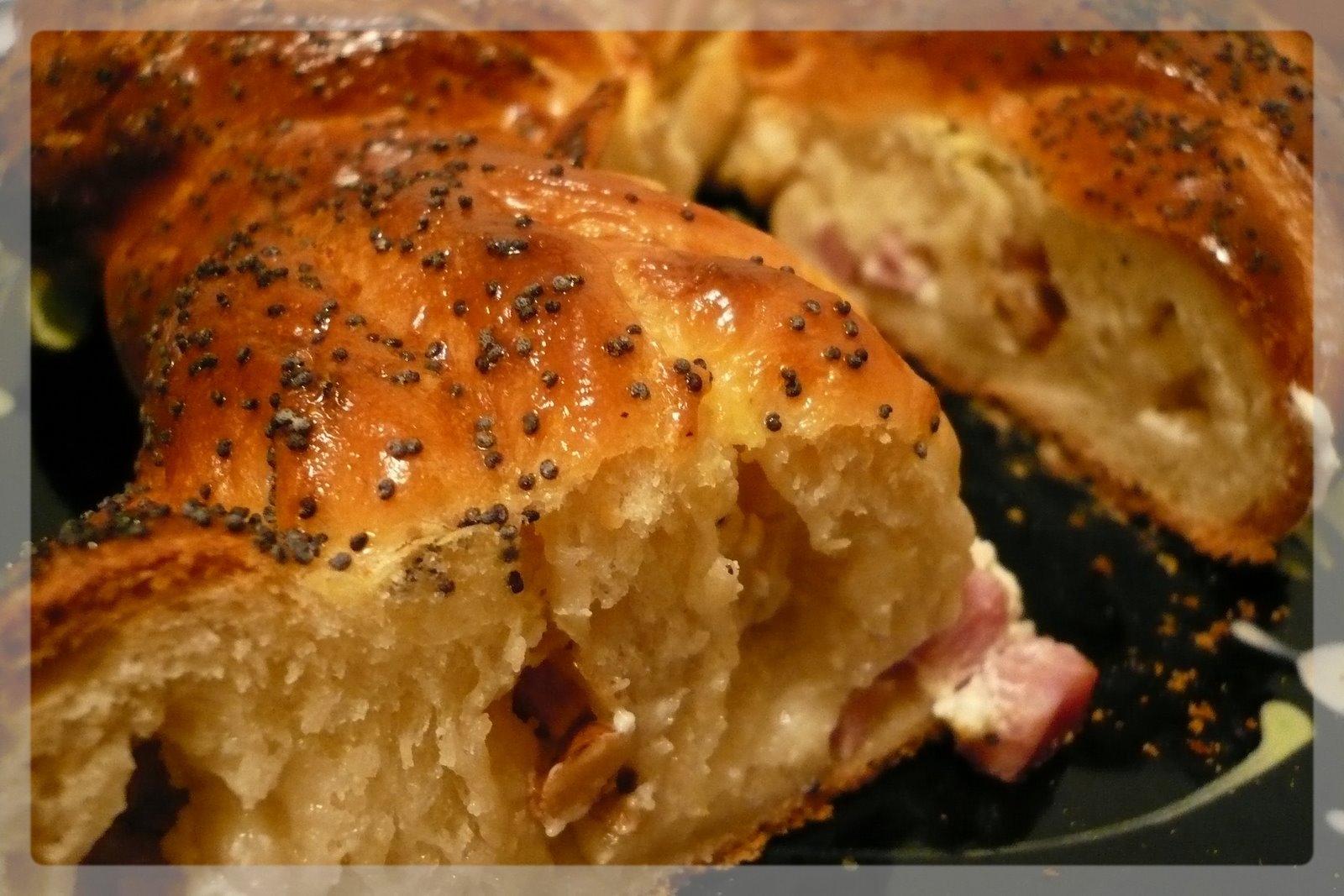 [Octobre+2007+015.jpg]