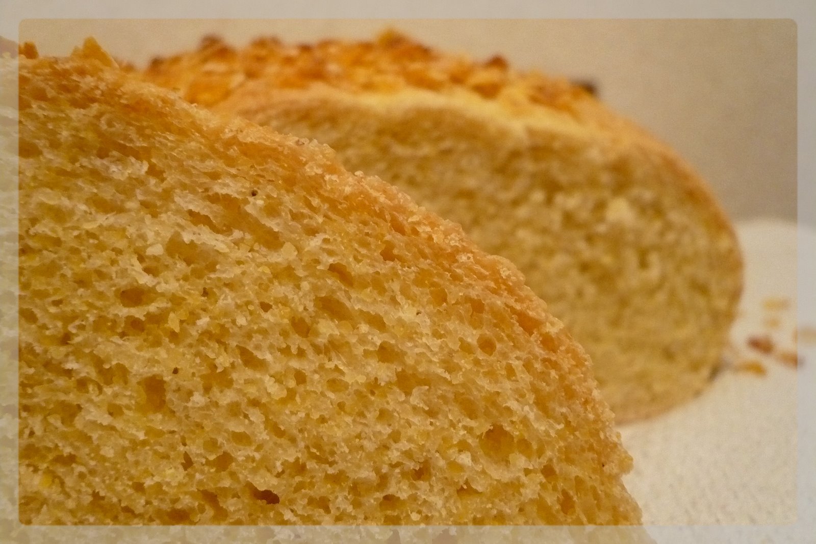 [Octobre+2007+088.jpg]