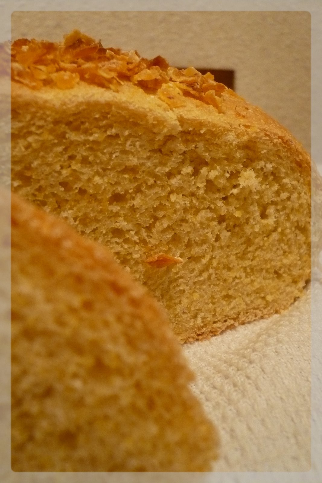 [Octobre+2007+089.jpg]