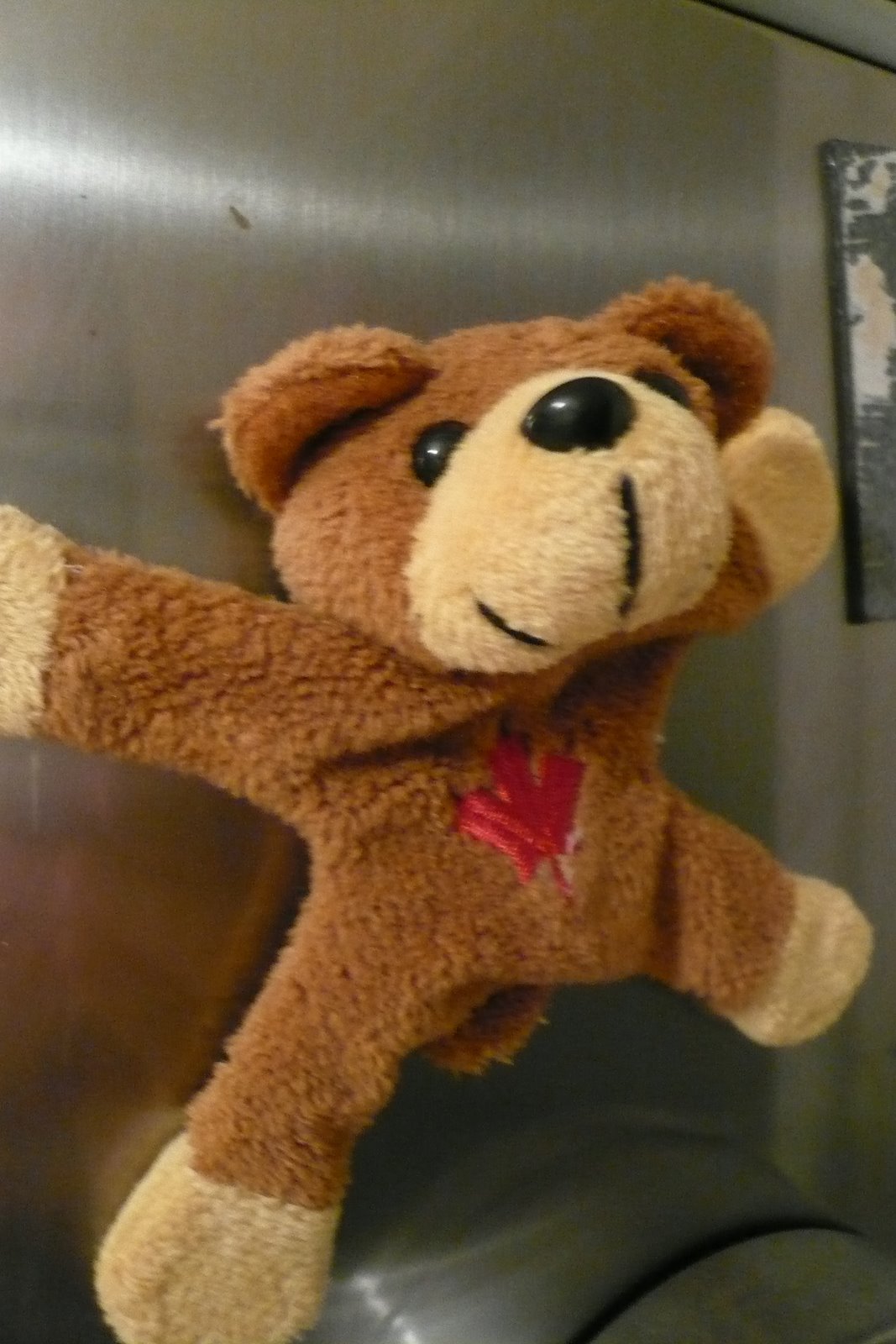 [Novembre+2007+074.jpg]