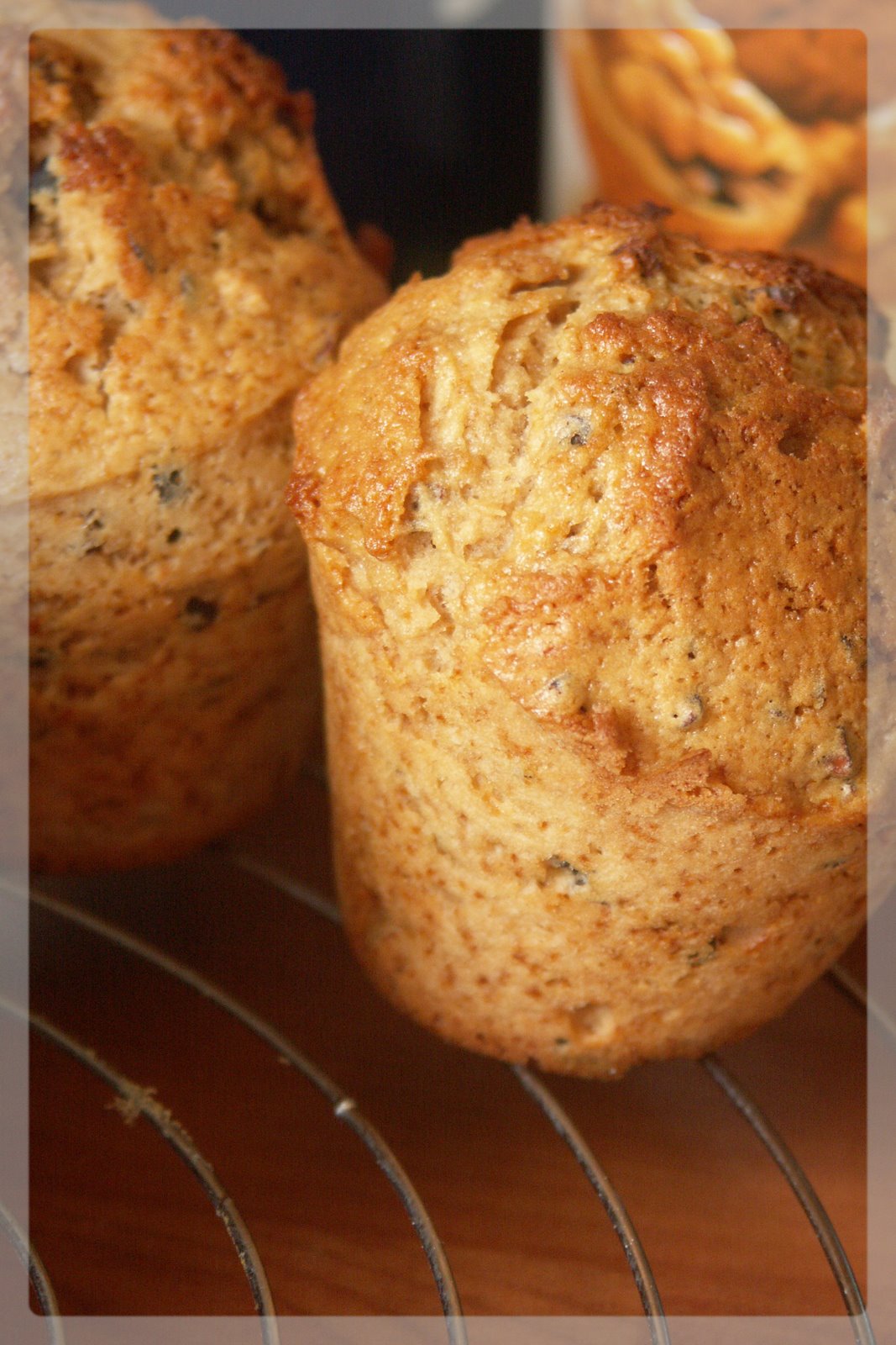 [avril+2008+131.jpg]