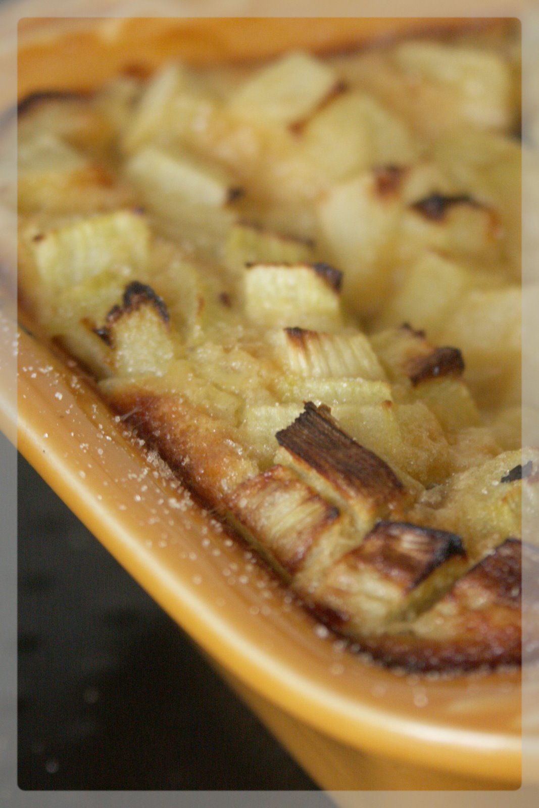 [avril+2008+136.jpg]