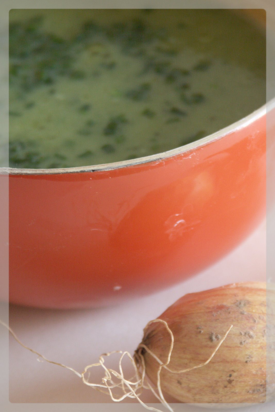 [Juillet+2008+009.jpg]