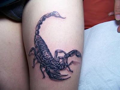 best scorpio tattoo