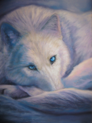 White wolf in snow by Acaciacat