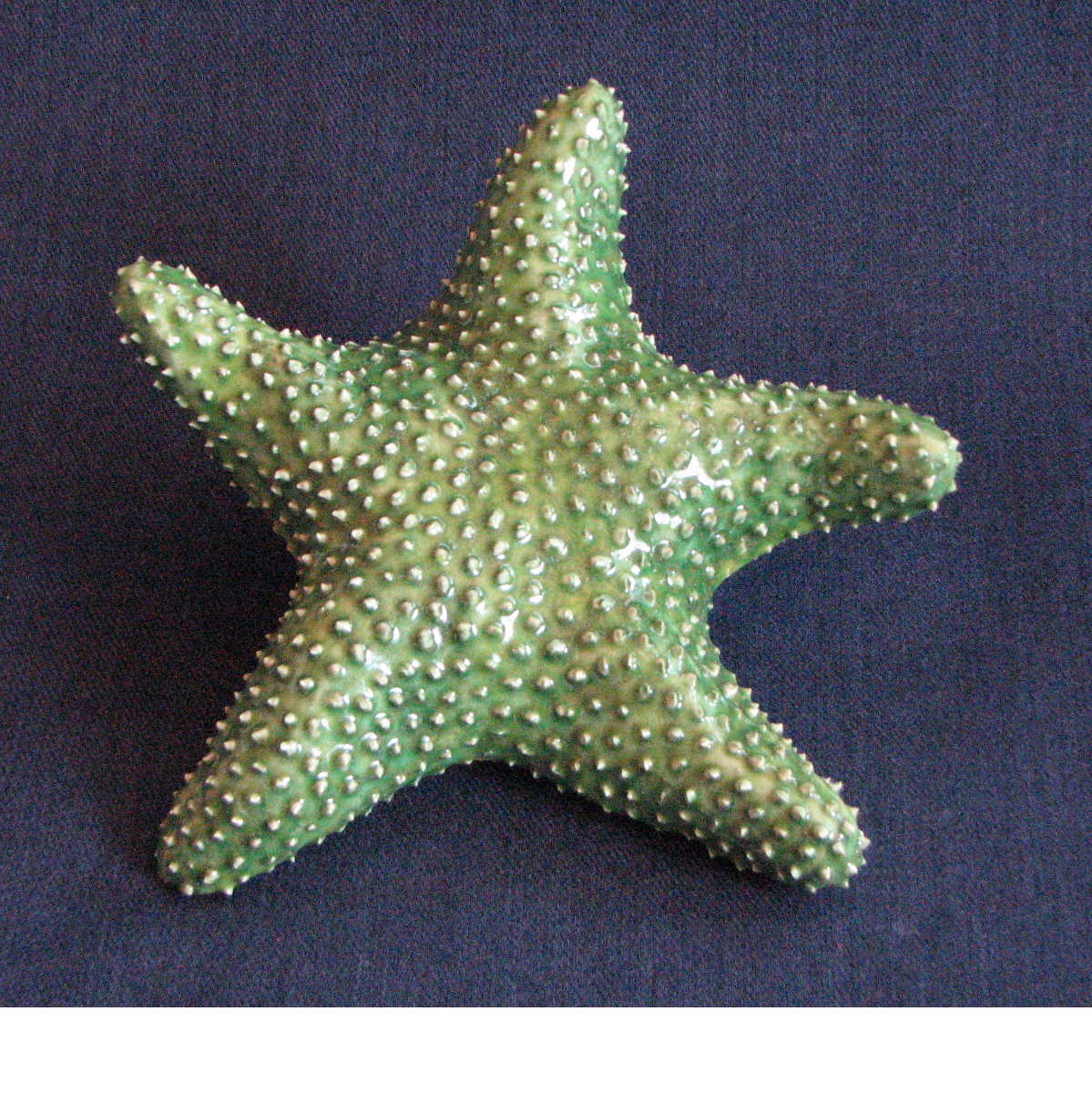 [starfish.Mike.30.JPG]
