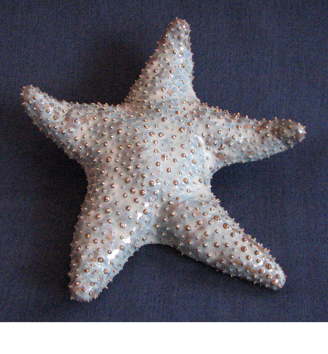 [starfish.Steve.40.JPG]