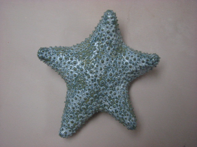 [starfish.Jack.30.JPG]