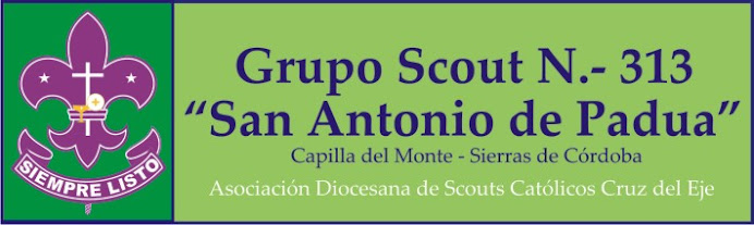 Grupo Scout 313 "San Antonio de Padua"