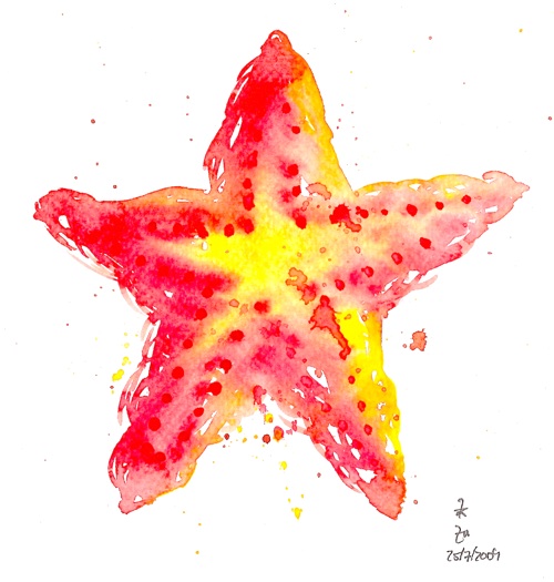 [starfish_peq.jpg]