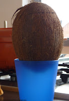 afbeelding-hoe-open-je-een-kokosnoot