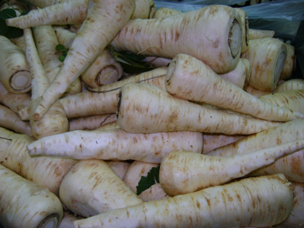 [DSC00067.JPG]