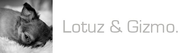 Lotuz och Gizmo (Ej Aktiv)