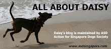 ADOPT DAISY : BE DIFFERENT