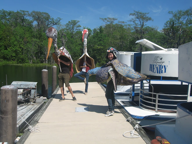 Limpkin, Ibis and Wood Duck at Wakulla Springs