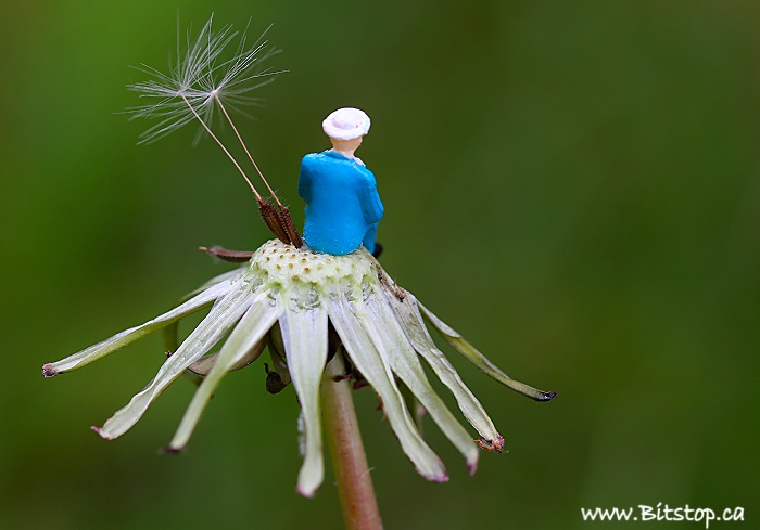 Bitstop: Mini People