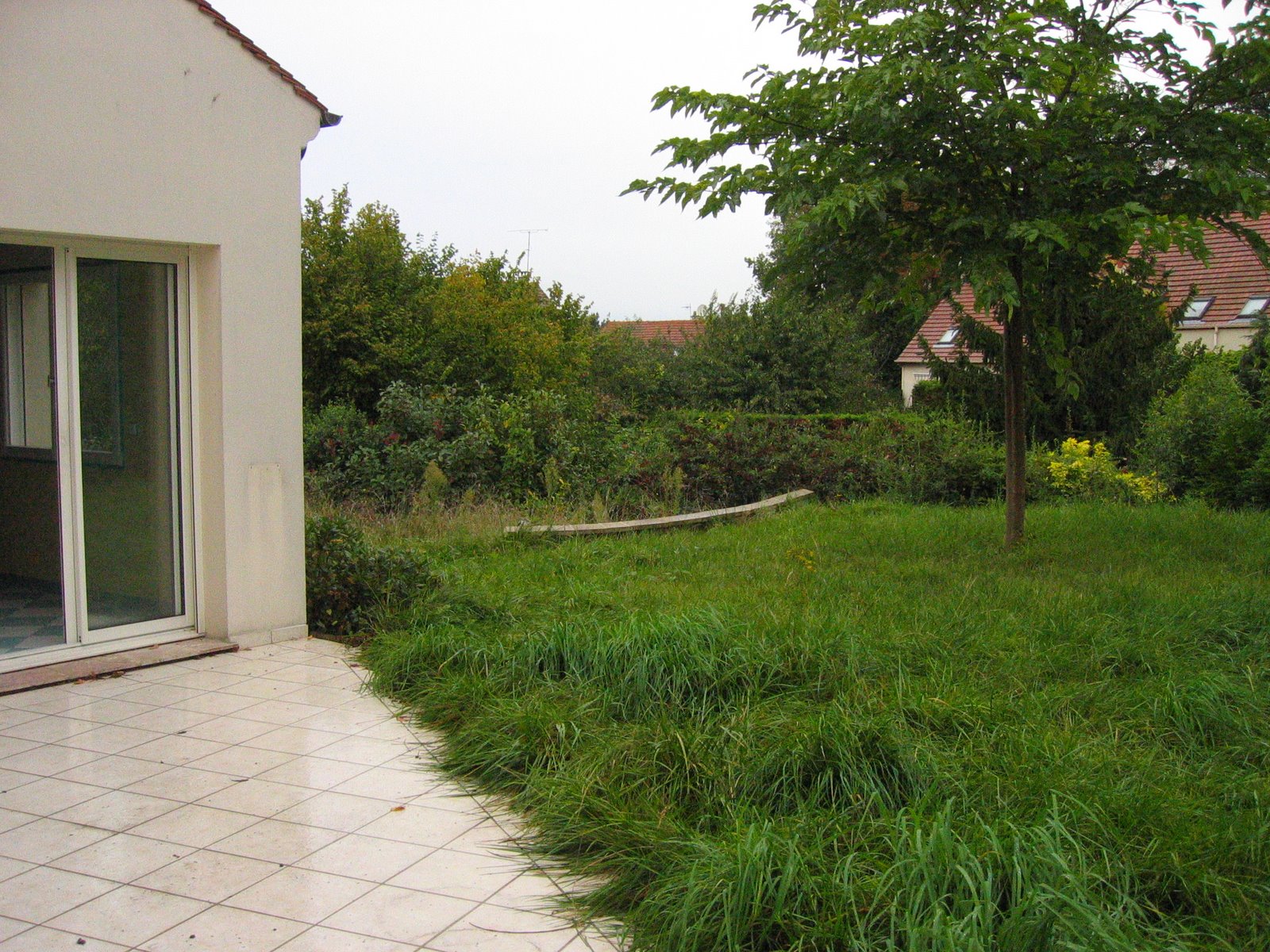 [jardin+friche.JPG]
