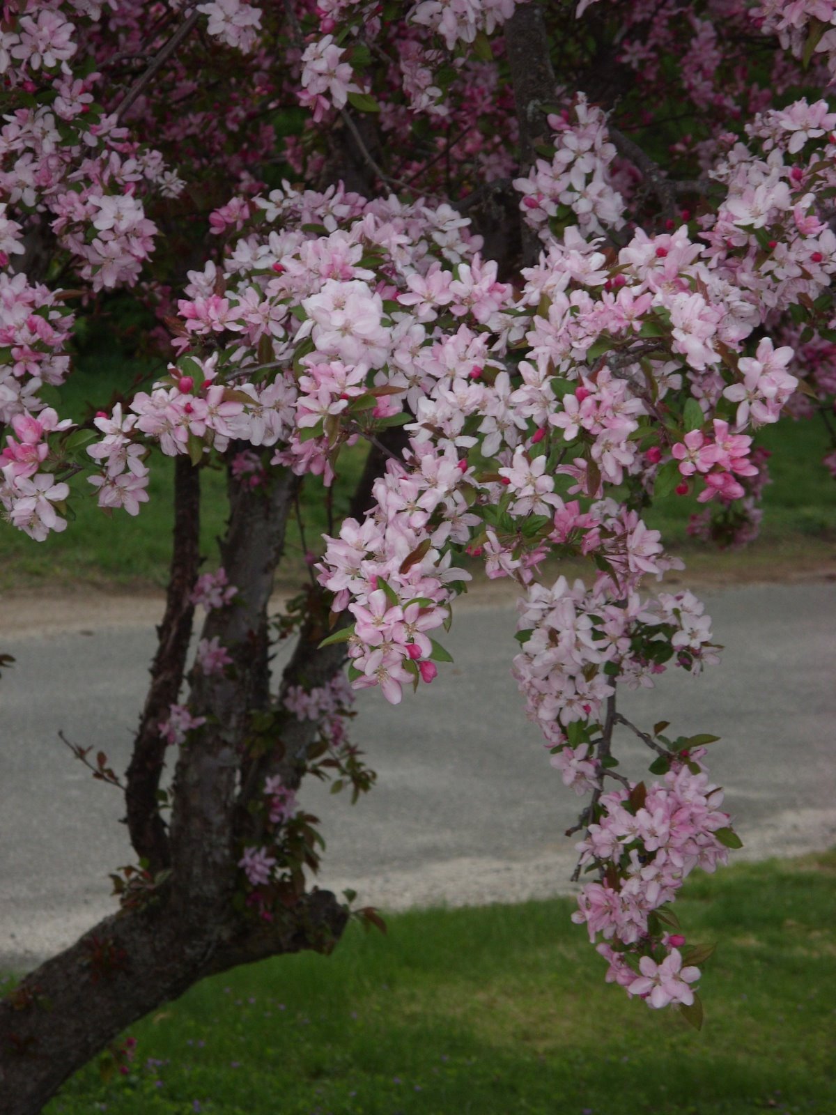 [SN851663.JPG]