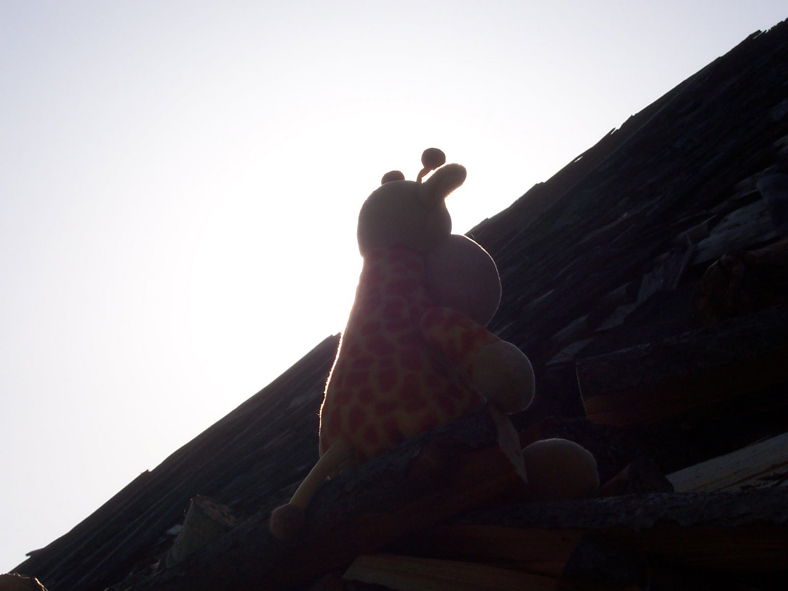 [ikea+võrus+015.jpg]