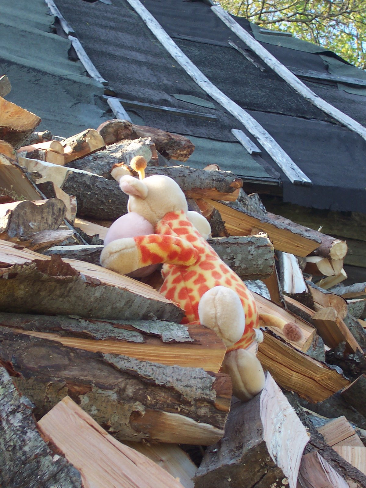 [ikea+võrus+009.jpg]