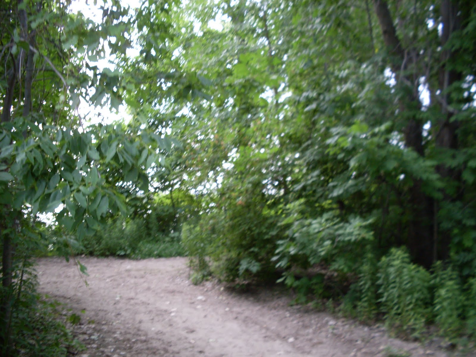 [SDC11493.JPG]