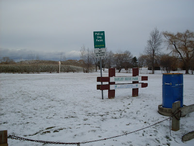 Canview+drive+in+welland