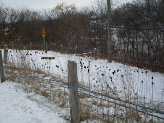 Canview+drive+in+thorold