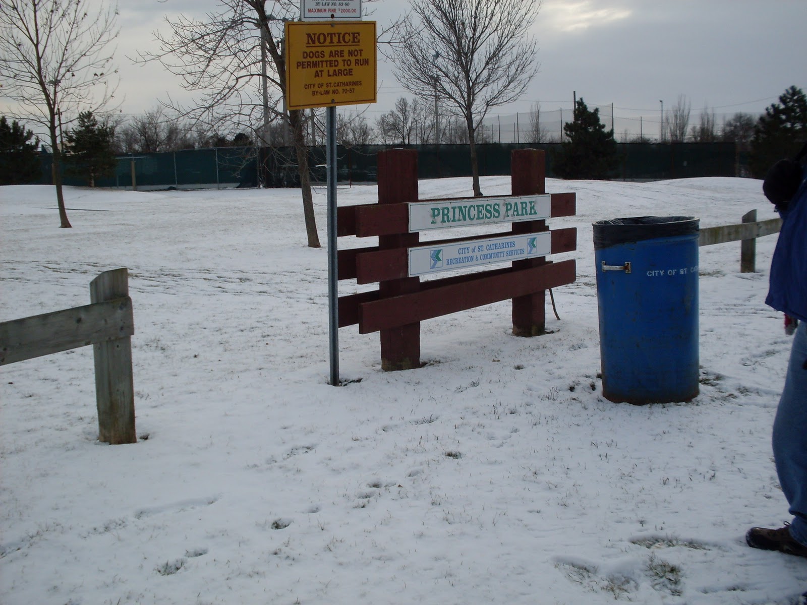 Canview+drive+in+welland