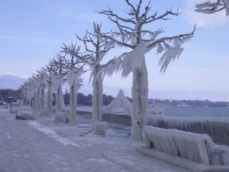 El Frio