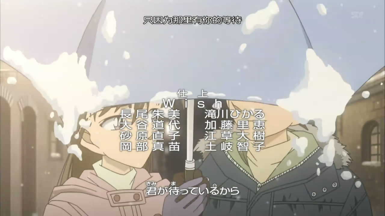 [snapshot20090122135901.jpg]