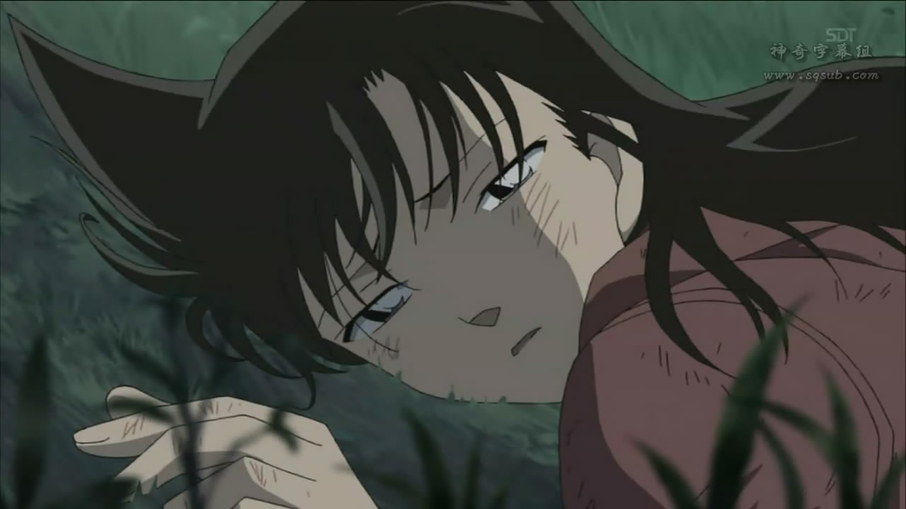 [snapshot20090225215859.jpg]