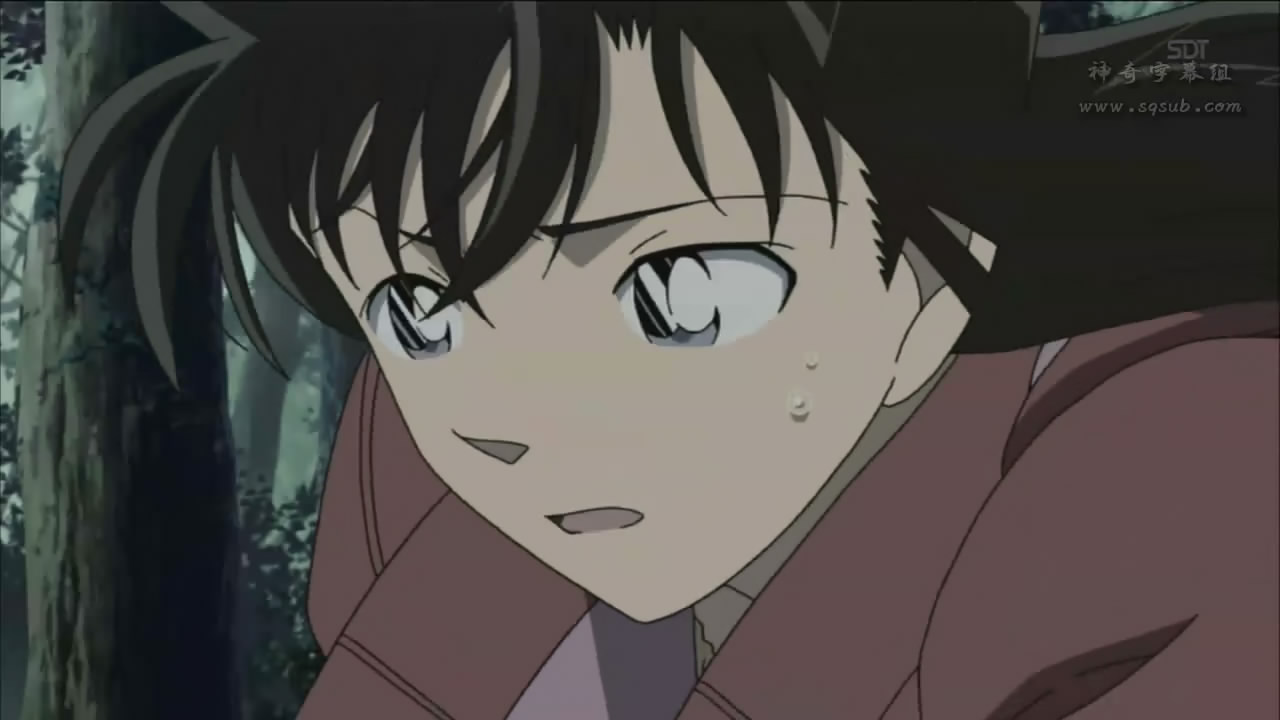 [snapshot20090225215459.jpg]