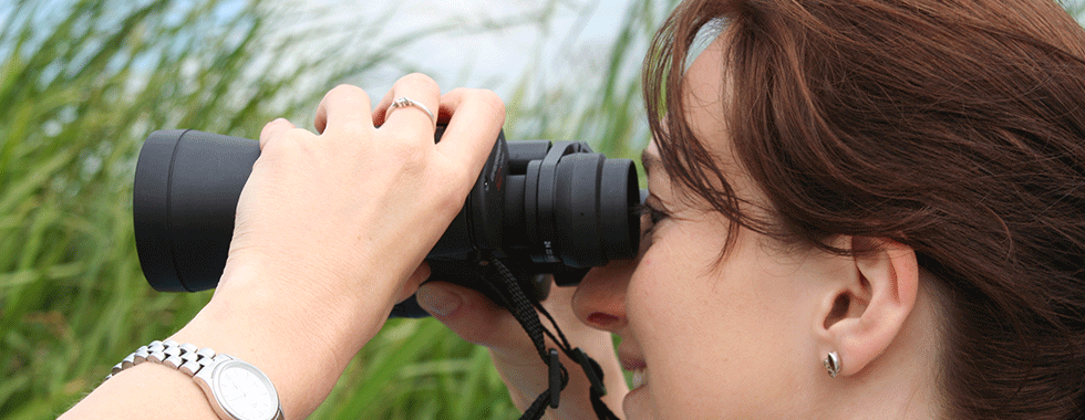 celestron 15x70 skymaster