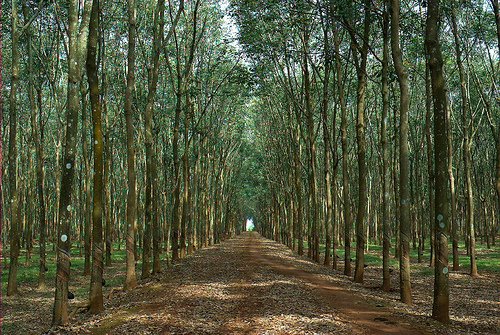 [329942952_addcedf7be.jpg]