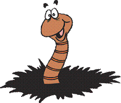 A Worm's View
