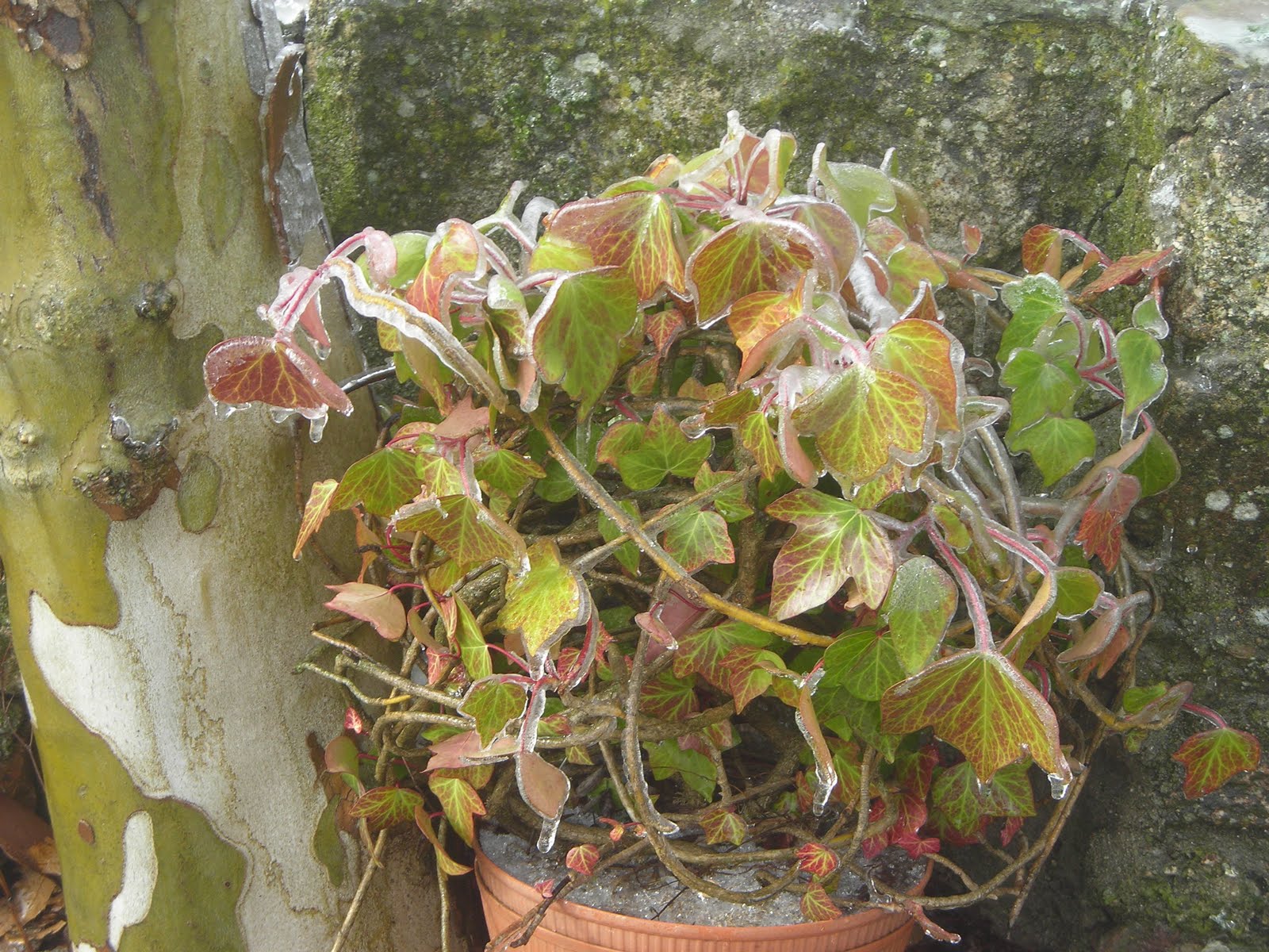 [DSCN5920.JPG]