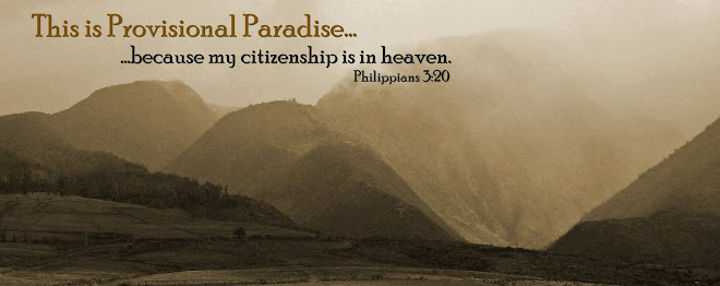 Provisional Paradise