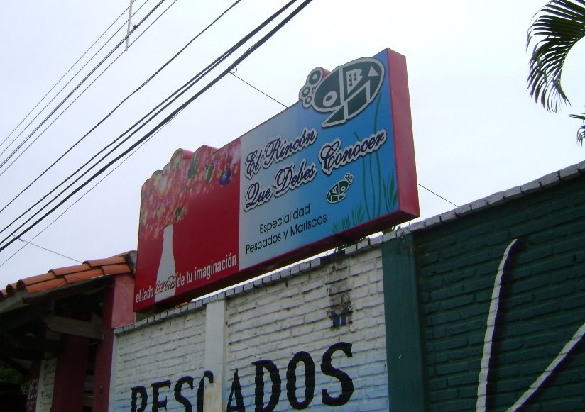 [DSC00162.JPG]