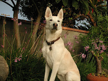 Carmen, Warrior Princess